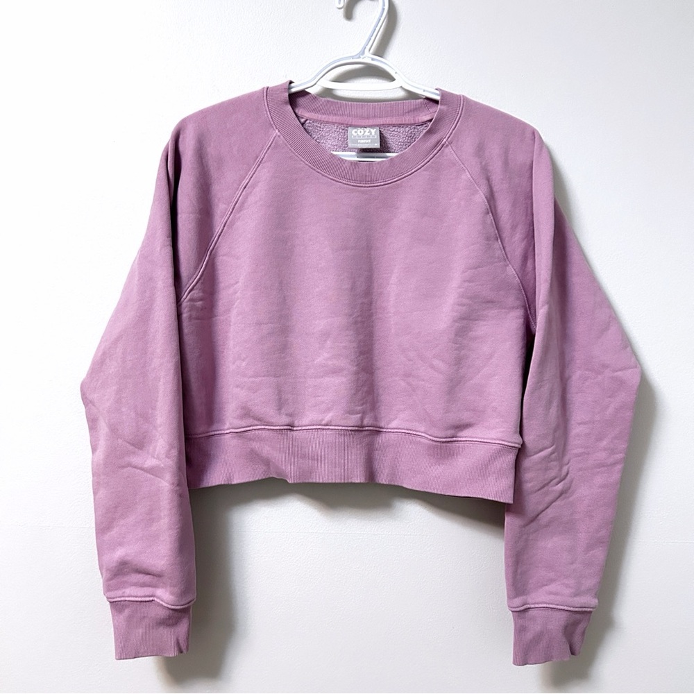Aritzia TNA Cozy Fleece Perfect Crop Raglan Sweatshirt